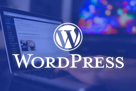 Kiến thức sơ lược về Wordpress