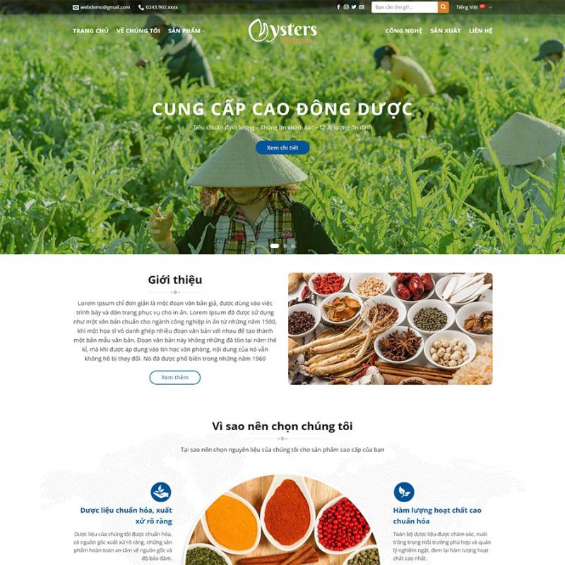  Theme WordPress thực phẩm chức năng 23