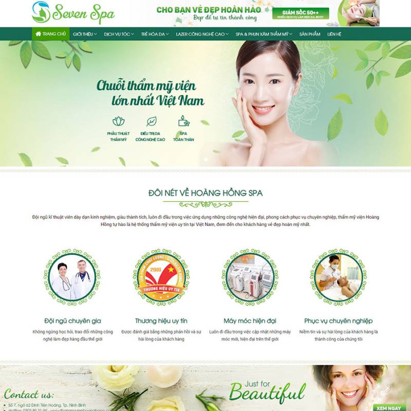  Theme wordpress Spa 01