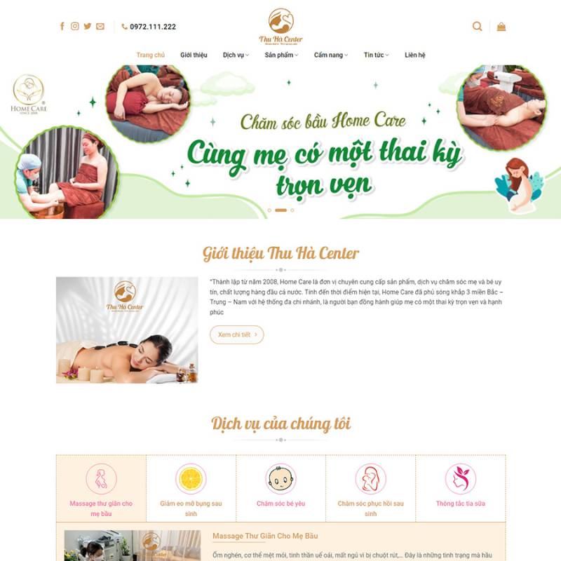  Theme wordpress dịch vụ BabyCare